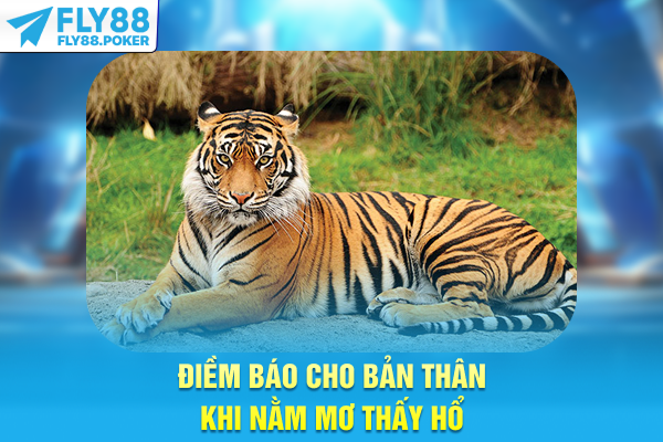 Nằm Mơ Thấy Hổ - Luận Giải Điềm Báo Quyền Lực & Thắng Lớn 5 Điềm báo cho bản thân khi nằm mơ thấy hổ